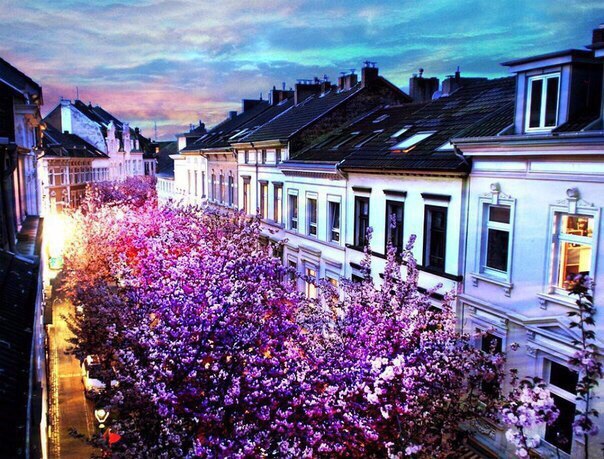 Бонн, Германия - 5