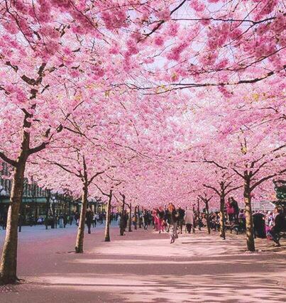 Бонн, Німеччина