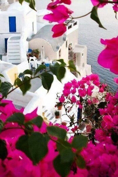 Bright streets of Santorini