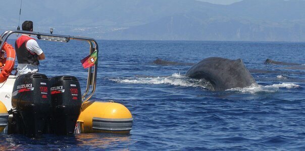 Рейкьявик, Исландия - 7