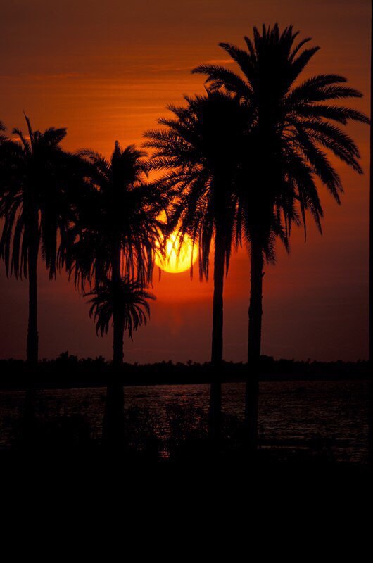 Фиджи - пальмовый рай️