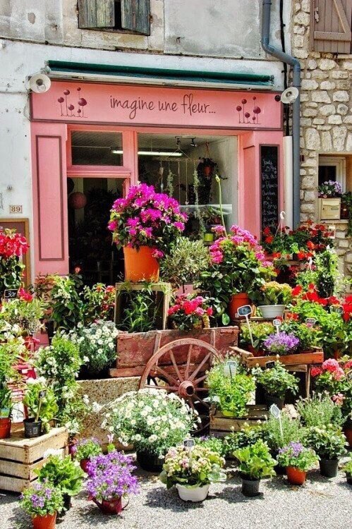 Прованс, Франция