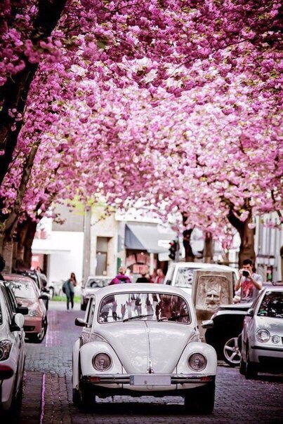 Бонн, Германия