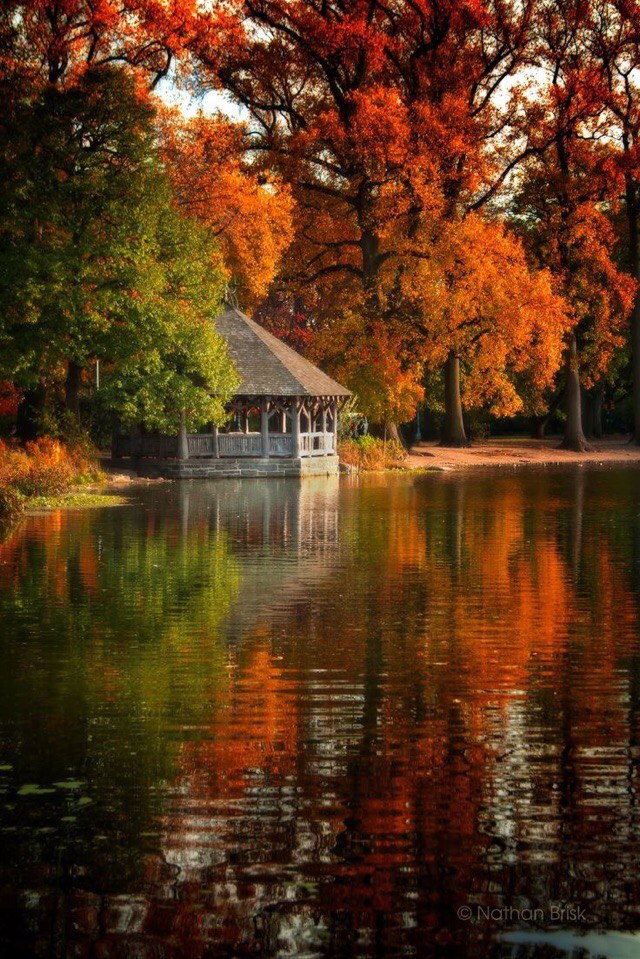 Осень в Нью-Йорке - 7