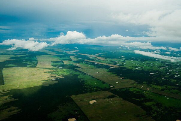 Дивовижна країна Камбоджа