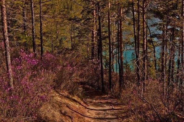 Красота Байкал, Россия - 6