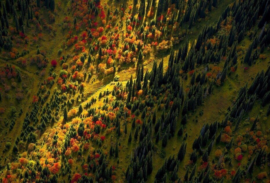 Autumn in the mountains of Kazakhstan - 5