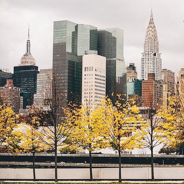 Autumn in New York