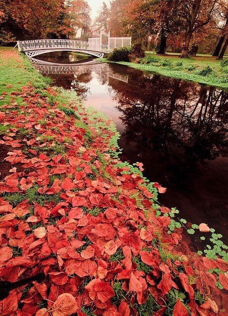 Осенний Лондон, Великобритания
