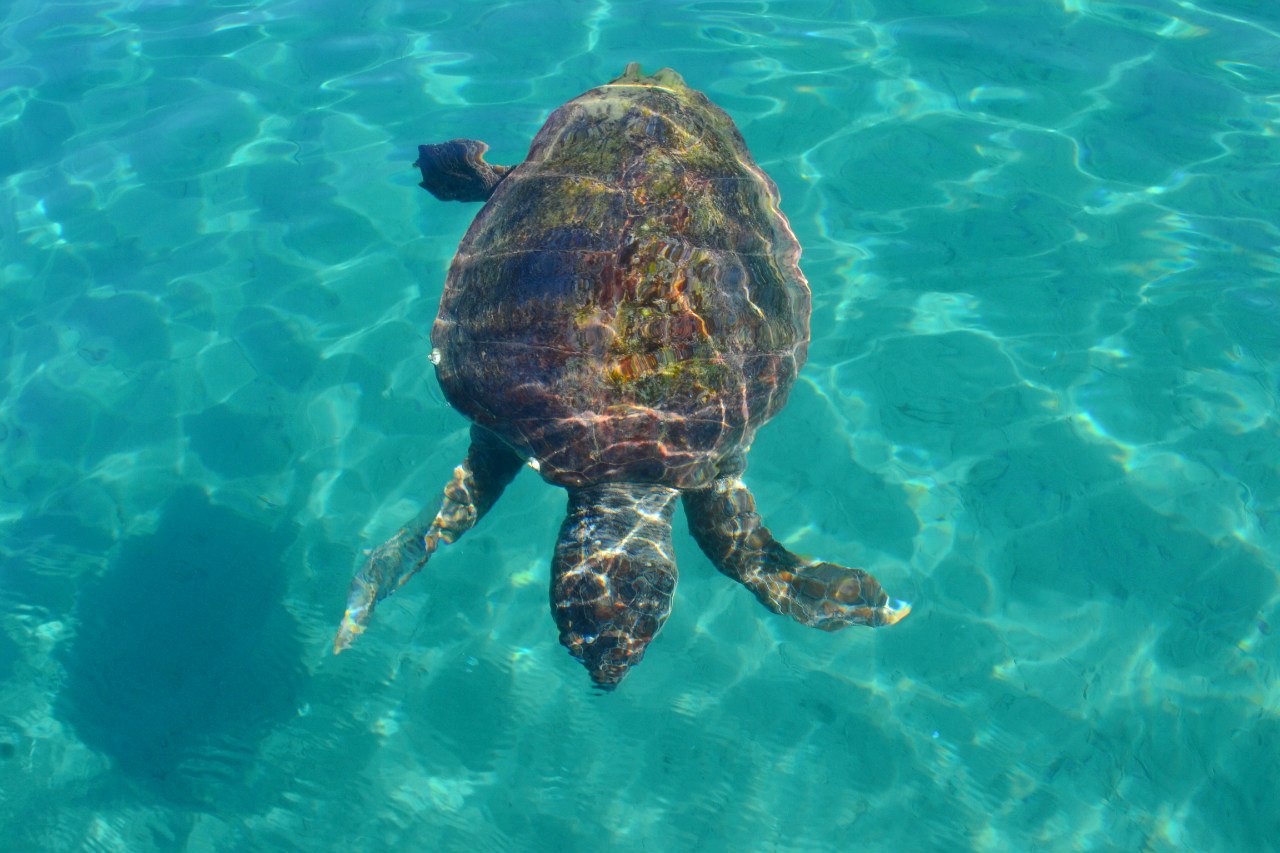 Остров Закинф, Греция - 9