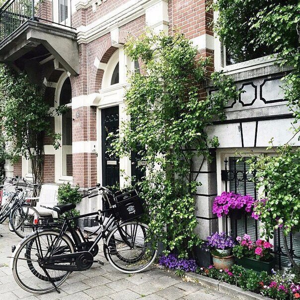 Амстердам, Нидерланды - 5