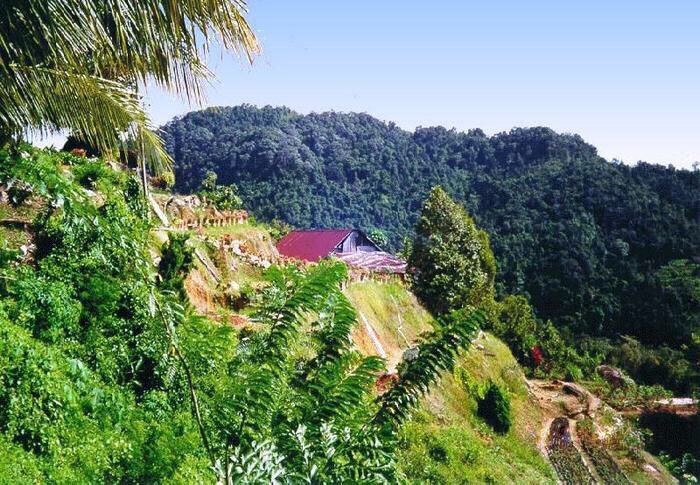 Малайзия - 8