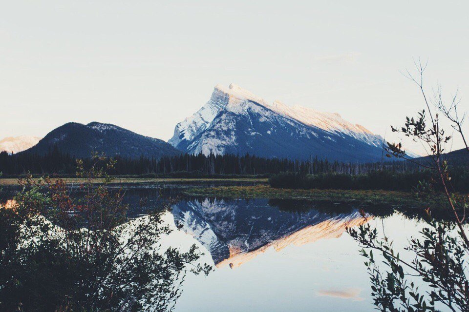 Северная Америка