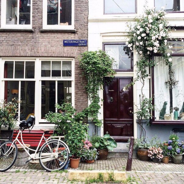 Амстердам, Нидерланды - 5