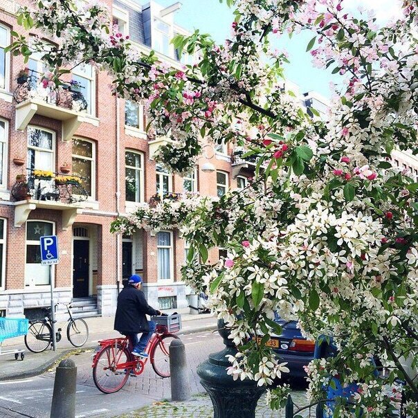 Амстердам, Нидерланды