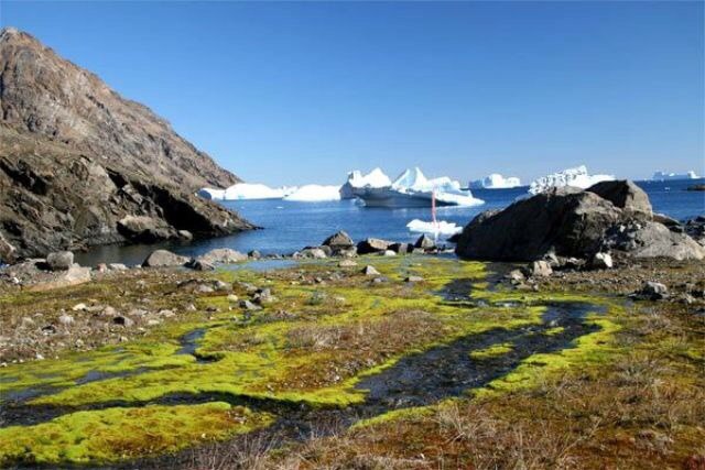 Красоты Гренландии - 9