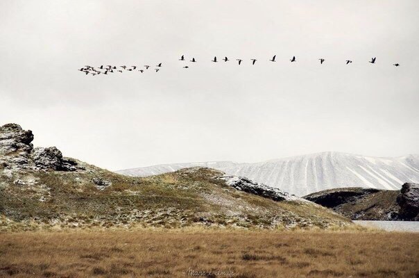 Чарівна Ісландія - 6