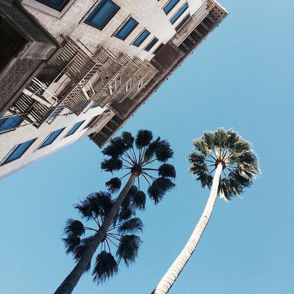 Калифорния, США - 5