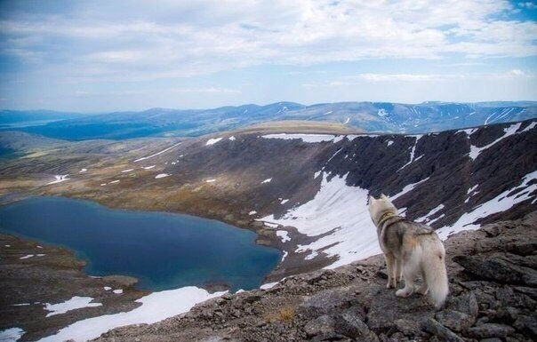 Хаски- путешественник - 7