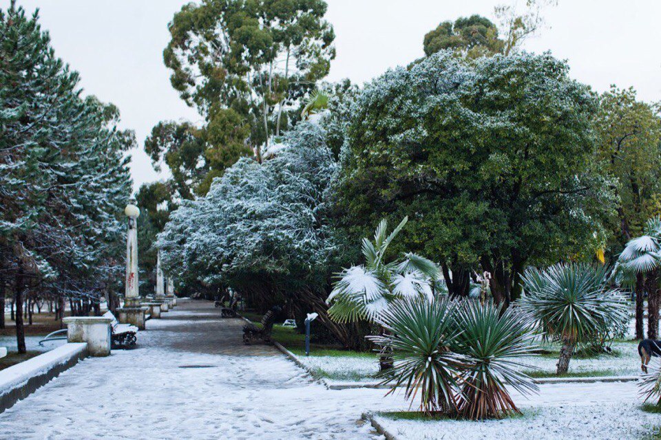 Абхазия зимой - 6