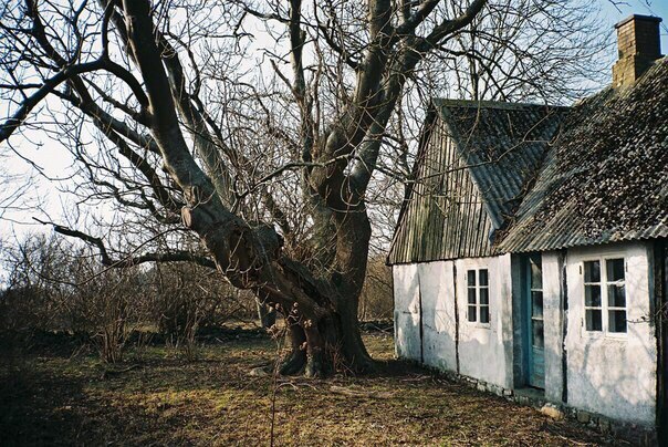 Scandinavian landscapes - 5