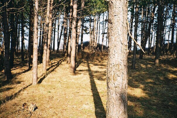 Scandinavian landscapes - 6