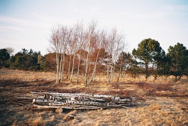 Scandinavian landscapes - 7