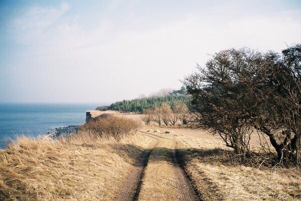 Scandinavian landscapes