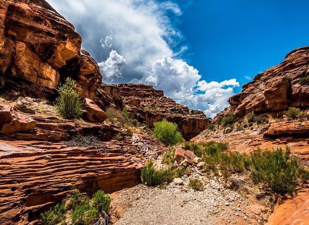 США, Гранд Каньйон - 5