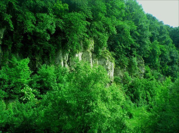 Цветотерапия - 8