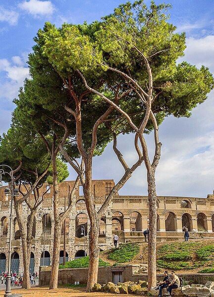 Рим, Италия