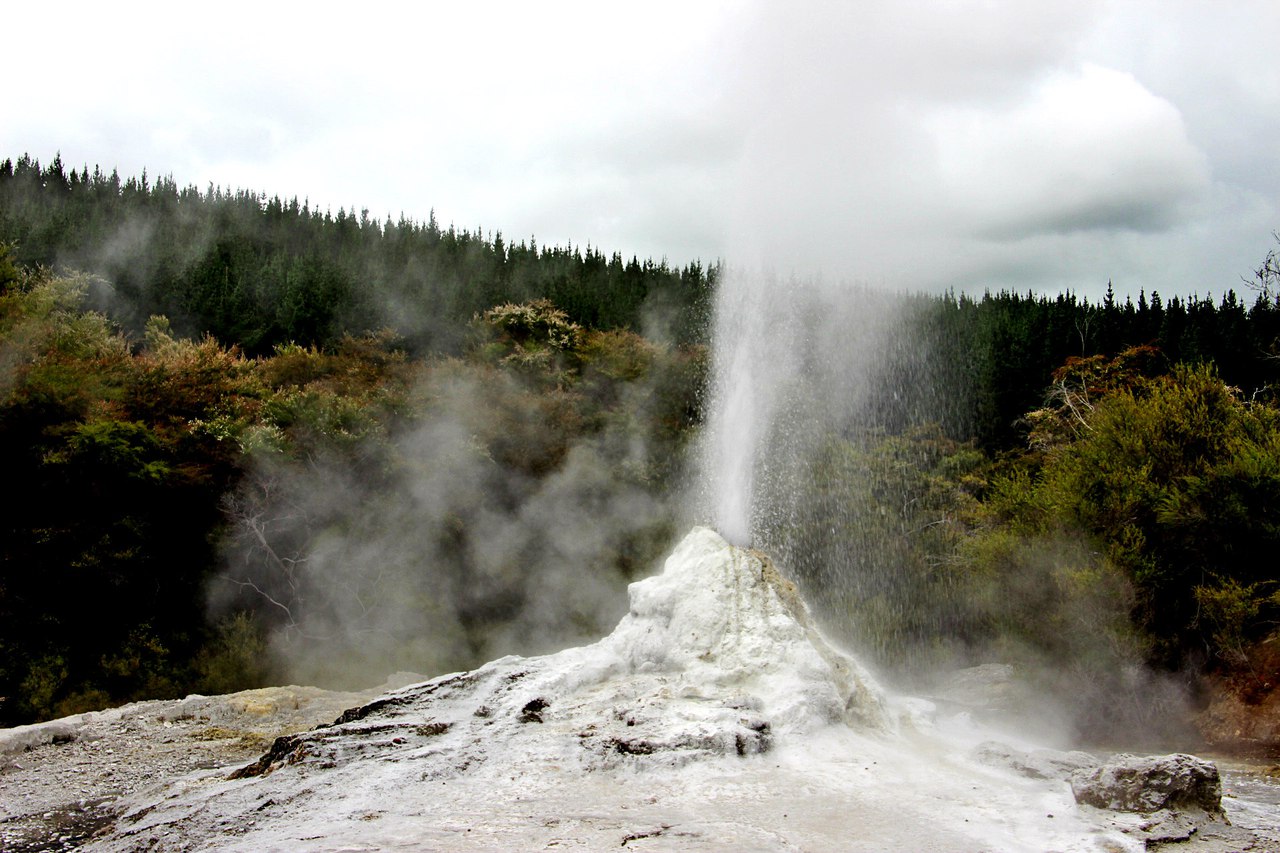 Природний парк Ваи-о-Тапу. Нова Зеландія - 7