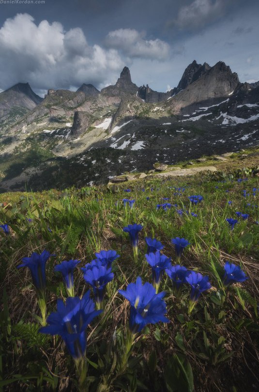 Ергаки. Природный парк на юге Красноярского края - 5