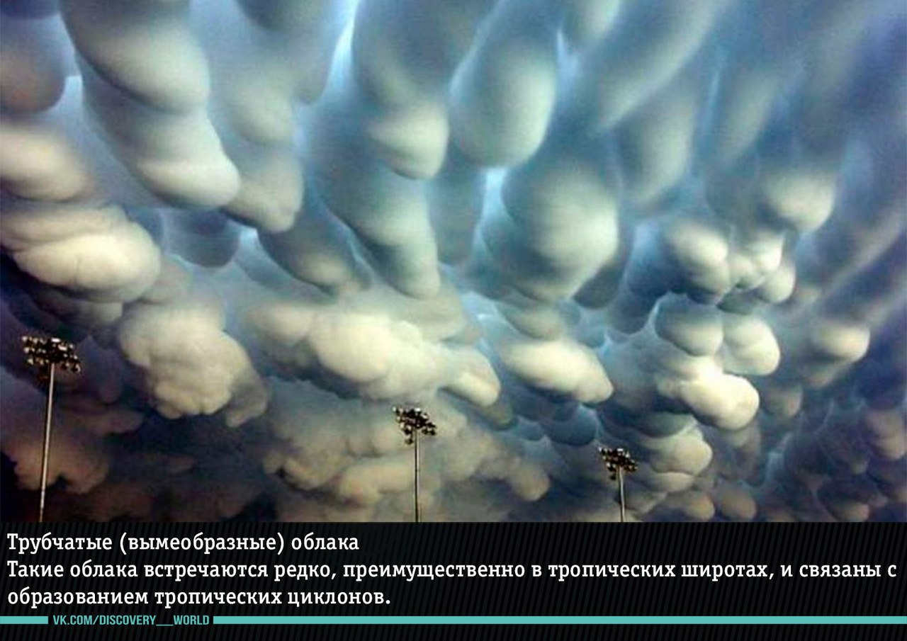 Удивительные явления природы, в которые трудно поверить - 5