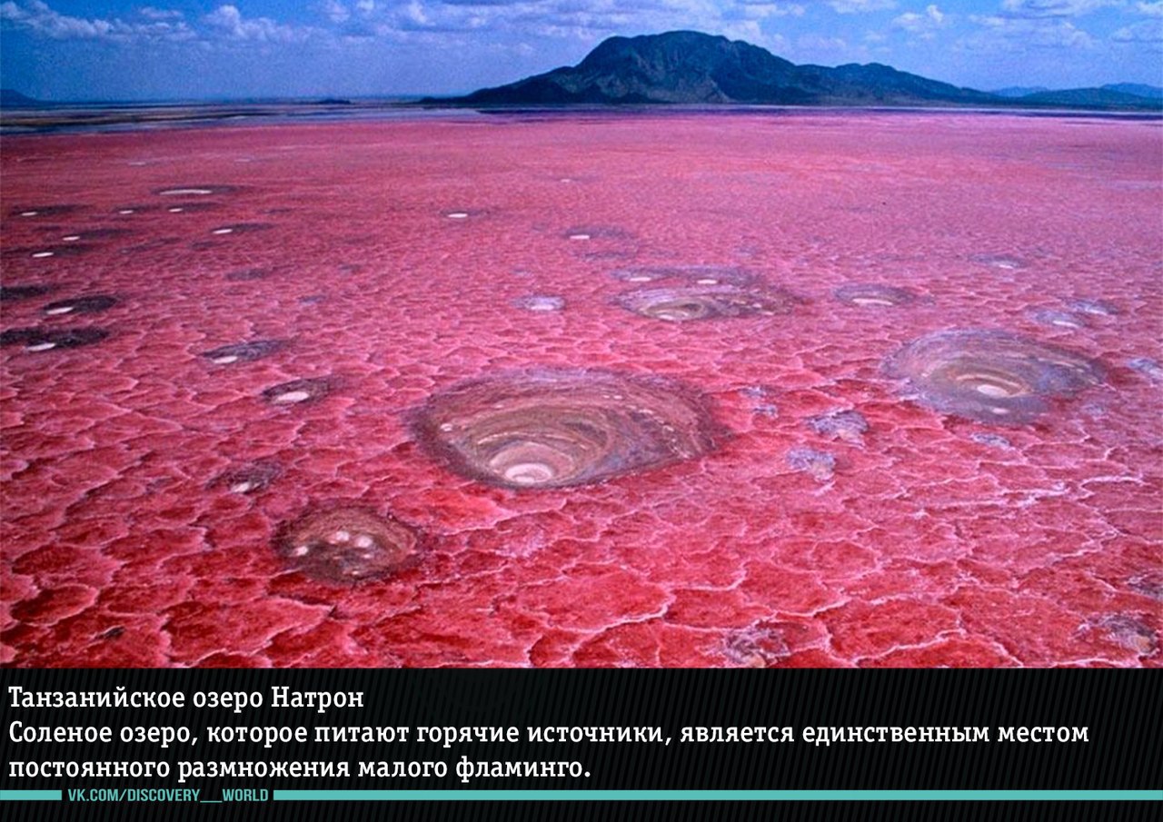 Удивительные явления природы, в которые трудно поверить