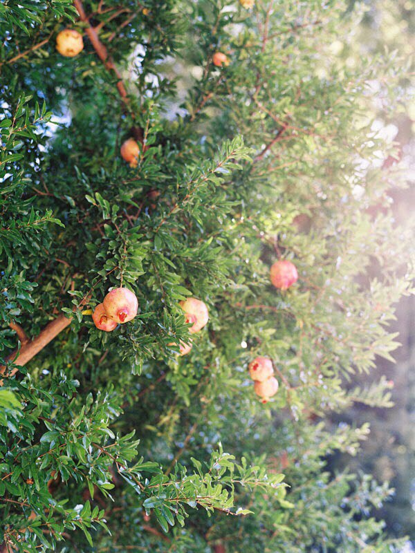 Солнечная Испания - 5