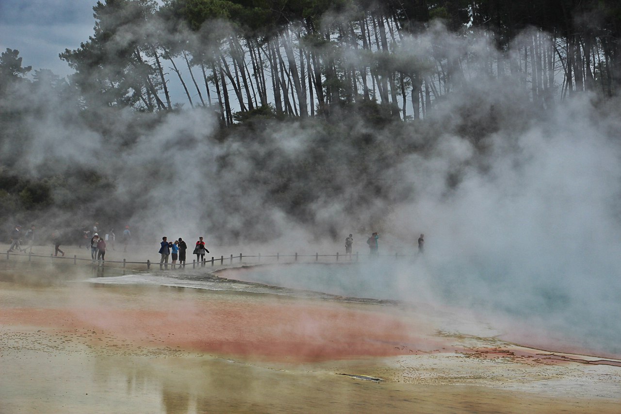 Природний парк Ваи-о-Тапу. Нова Зеландія - 6