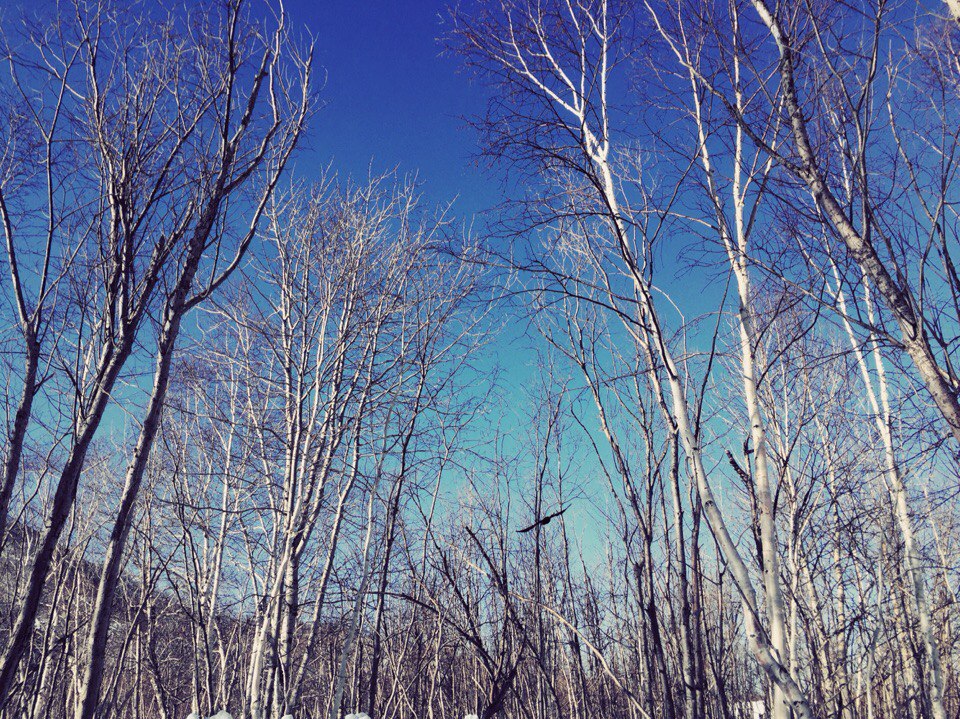 Камчатка - 6