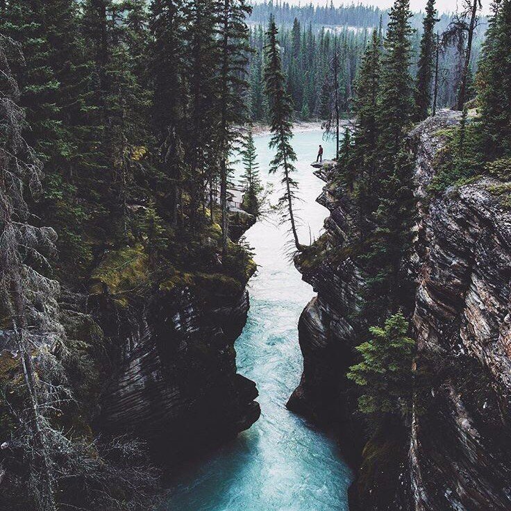 Калгари, Канада - 5