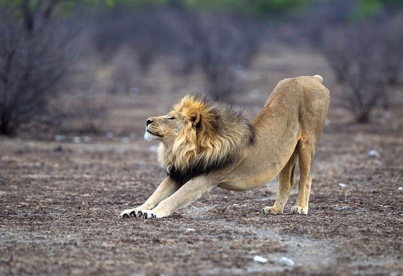 Утренняя зарядка - 6