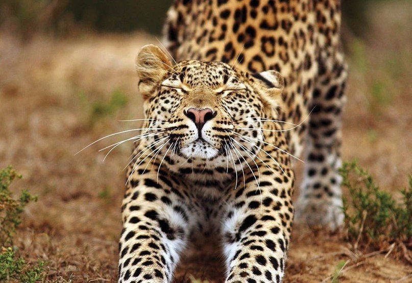 Утренняя зарядка - 9