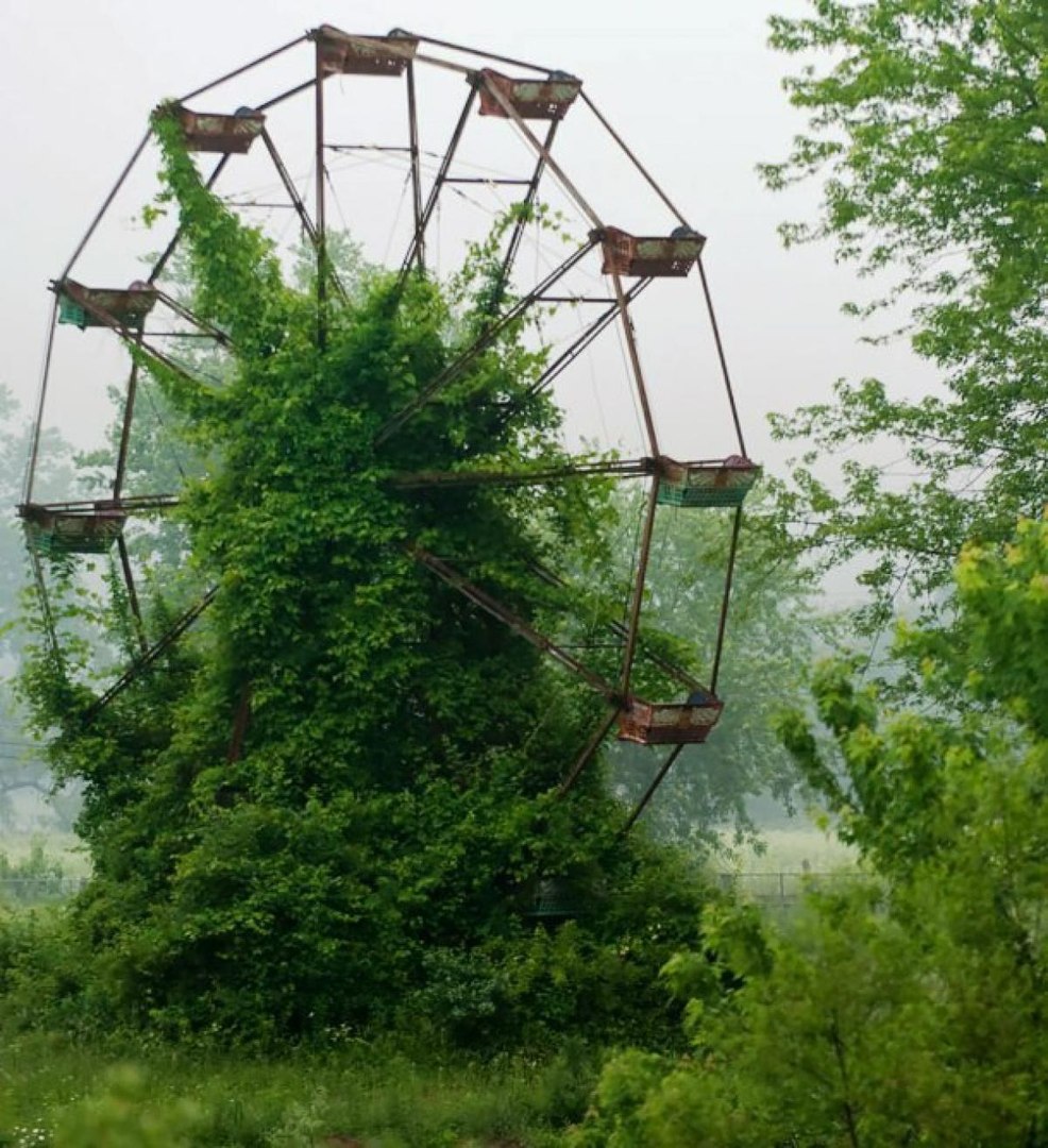 Когда природа побеждает цивилизацию. 