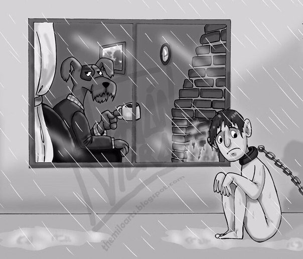 10 шокирующих рисунков, иллюстрирующих, КАК люди обращаются с животными. - 9