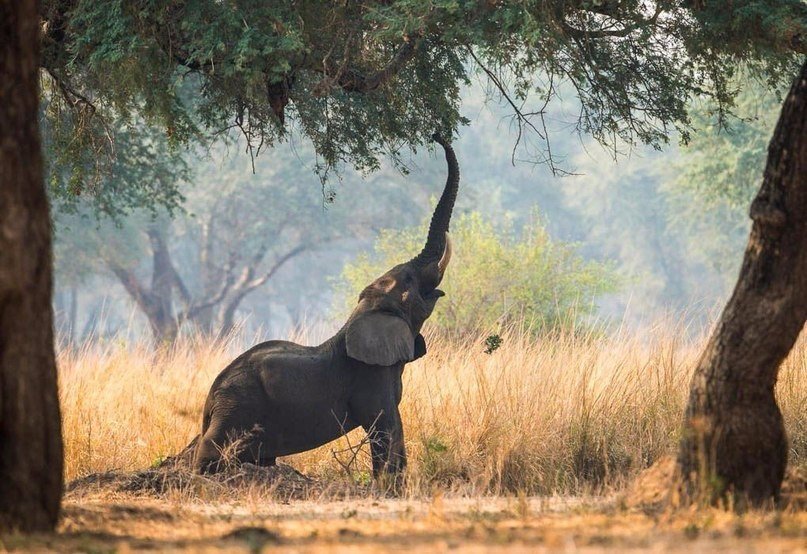 Утренняя зарядка