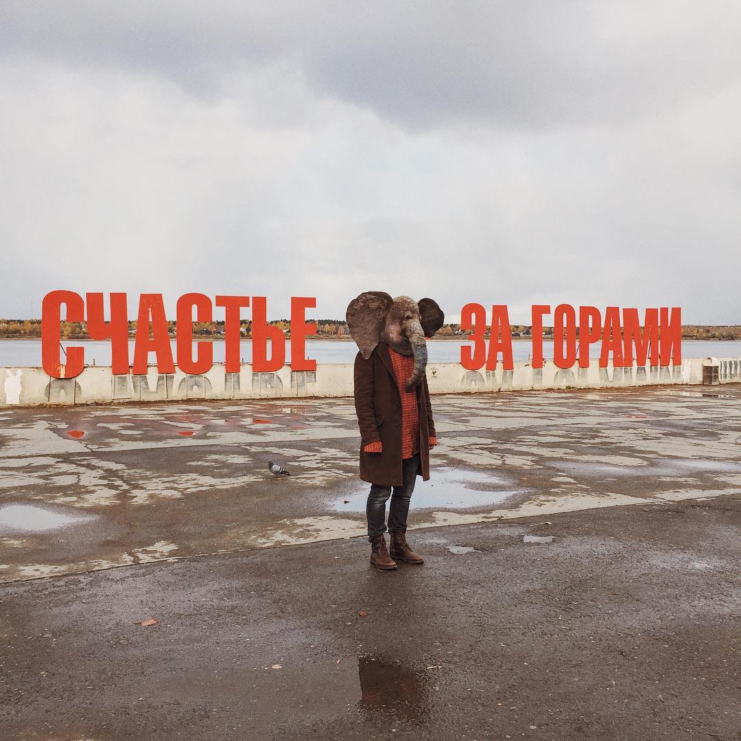 Слон, который фотографируется в самых печальных местах России<br><br>Фото: trunkdrunk