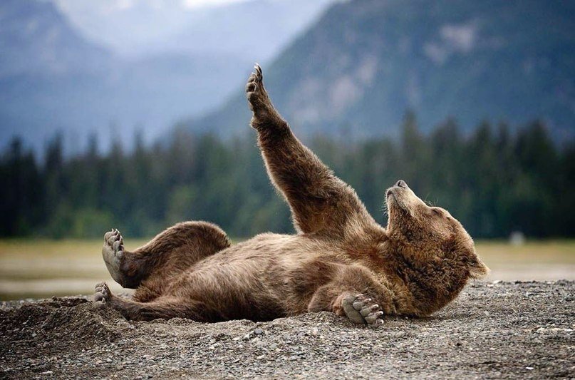 Утренняя зарядка - 7