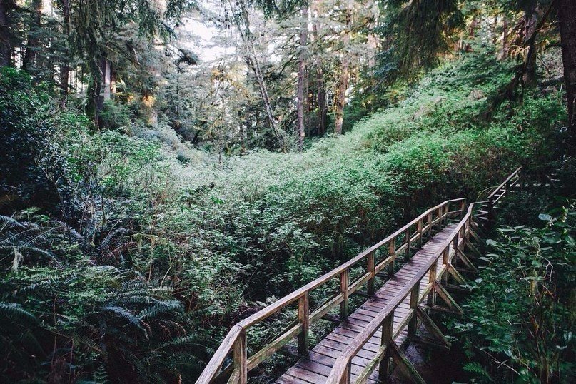 Незабываемая атмосфера.. - 8