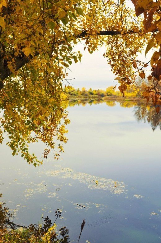 Такая грусть лишь в это время года:<br>Господь не зря мгновенья выбирает...<br>И умирает осенью природа,<br>Но... как она красиво умирает!<br><br>Виктор Третьяков - 5
