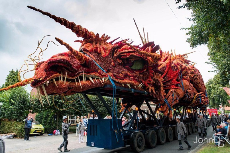 The annual flower parade in the Netherlands. - 5