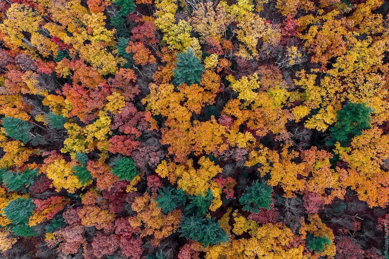 Краски осени